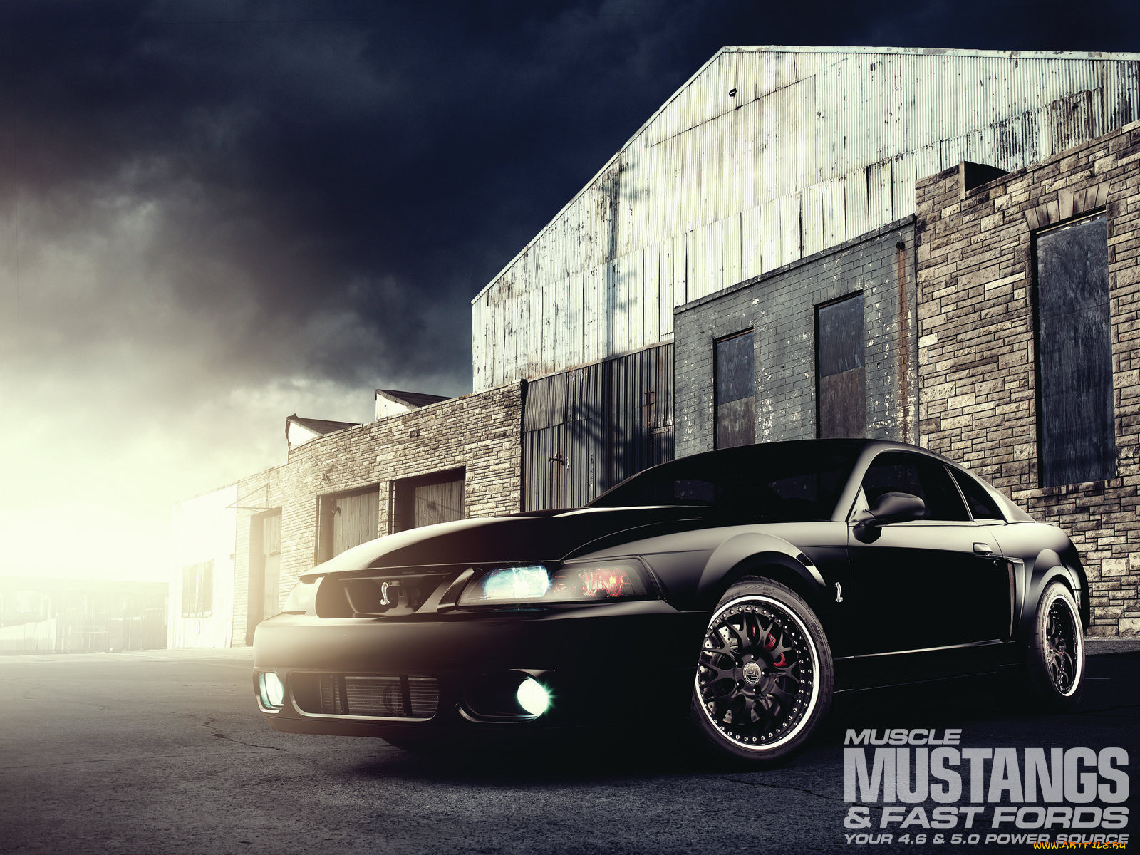 , mustang